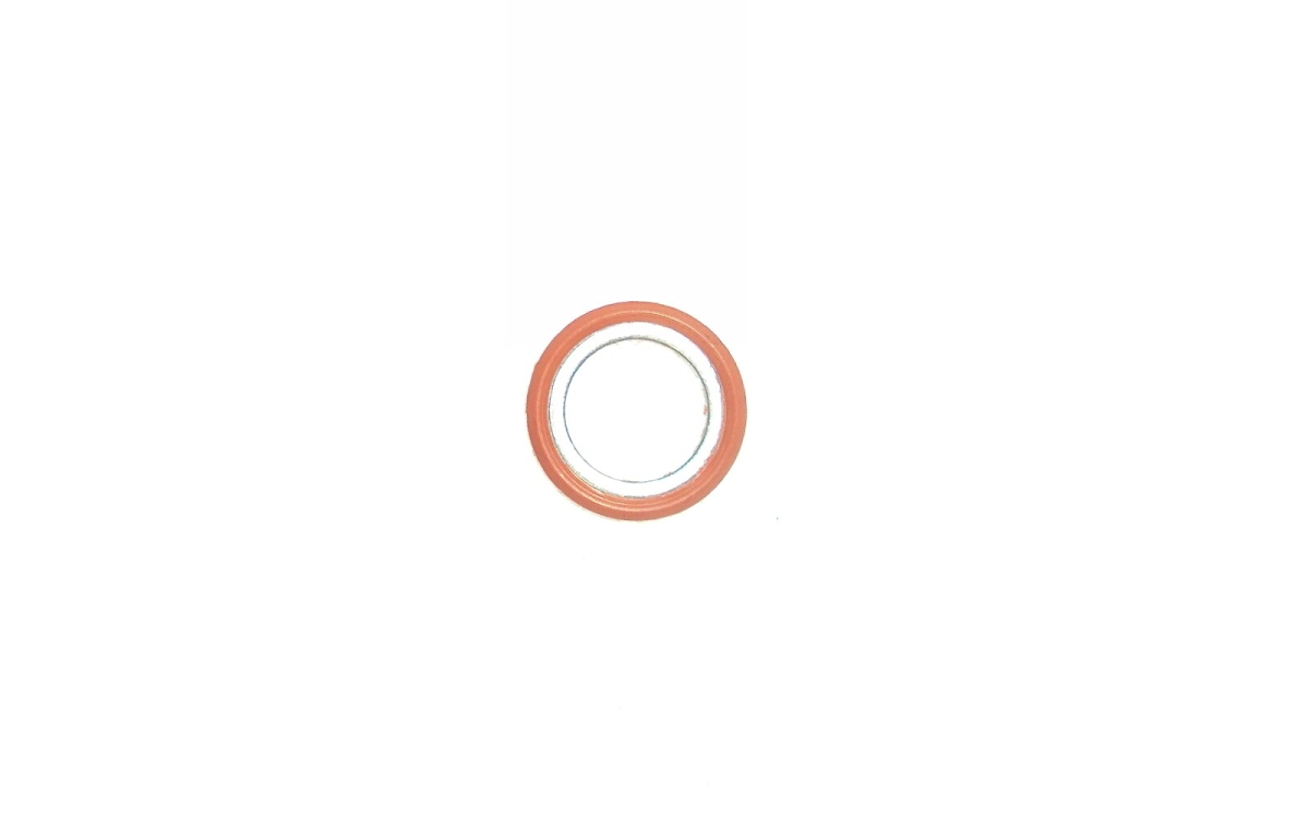 ORING FORD 18,60X21,00X2,00, x 10 Unidades      