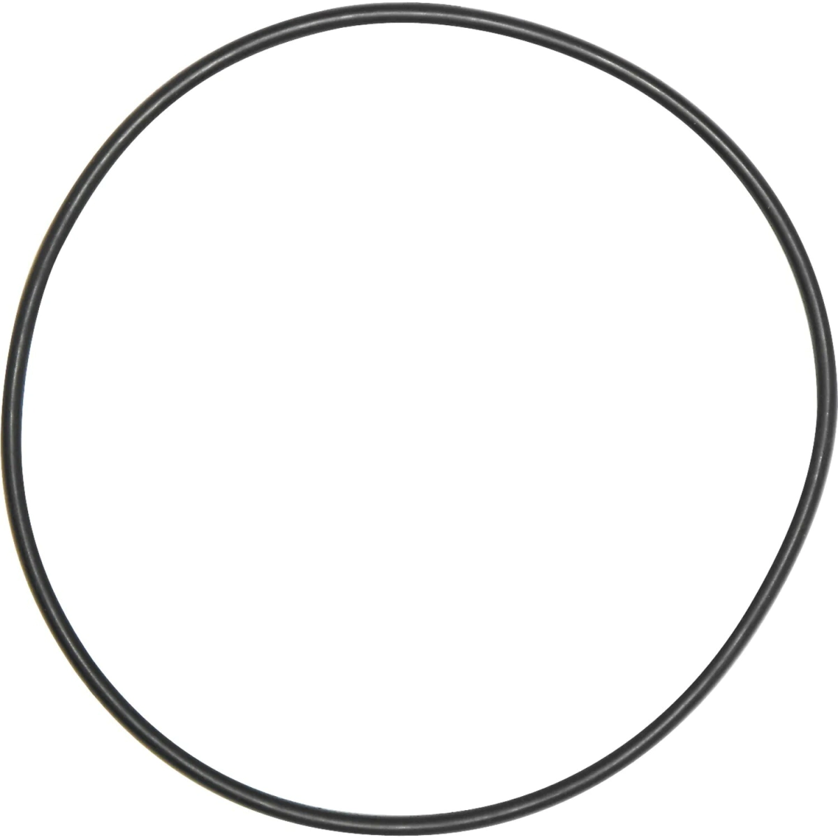 ORING CUERPO DE NIPP. 6P X 10 UNIDA      