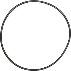 ORING CUERPO DE NIPP. 6P X 10 UNIDA      