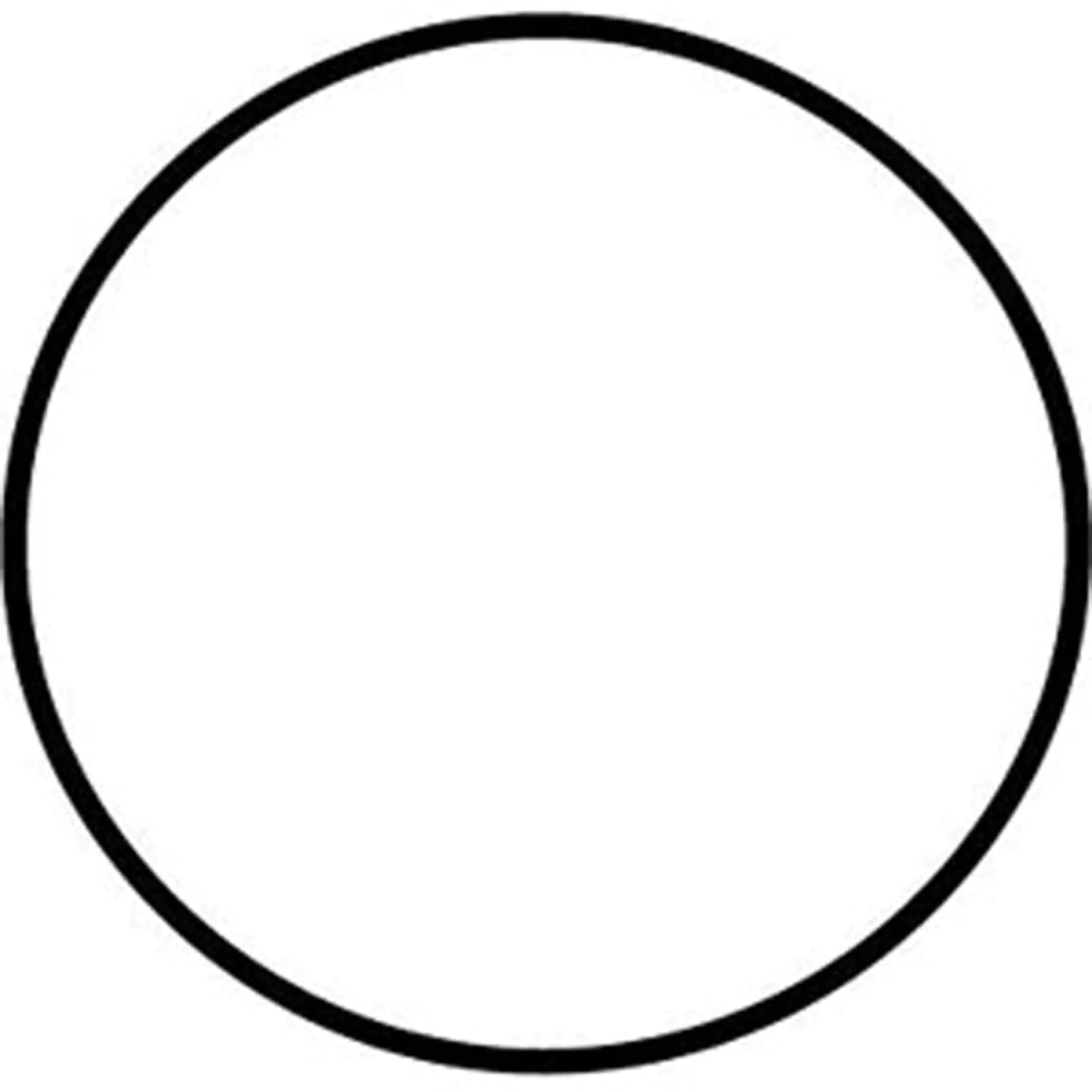 ORING CUERPO DE NIPP. 10P17C X 10 U      