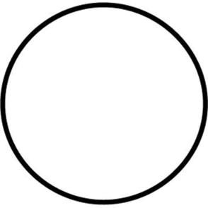 ORING CUERPO DE NIPP. 10P17C X 10 U      