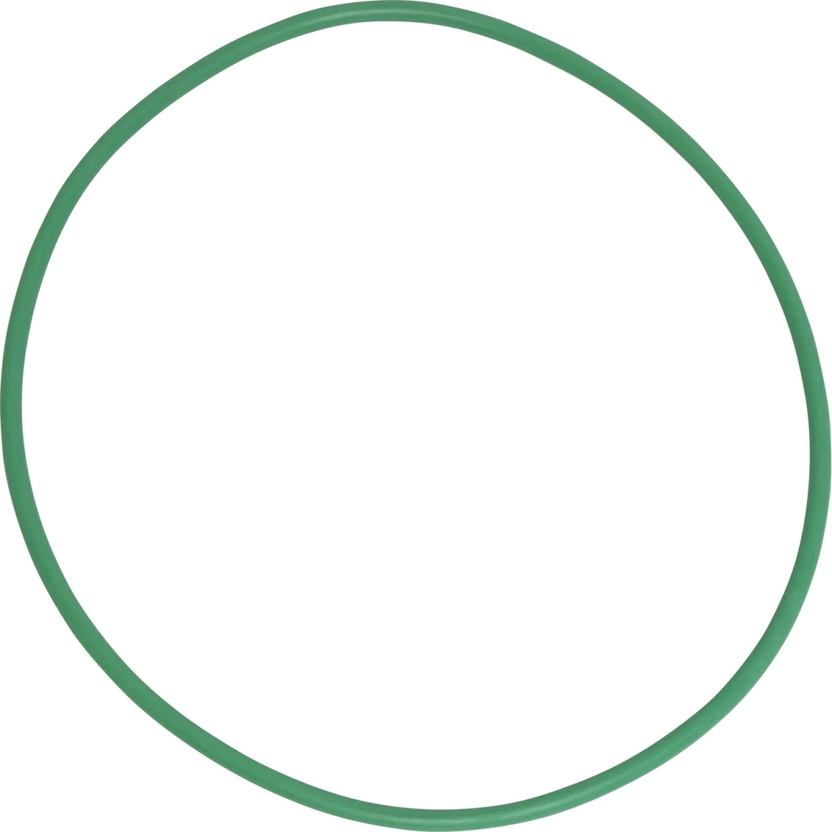 ORING CUERPO DE NIPP. 6P148 X 10 UN      