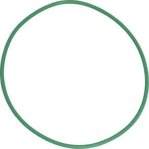 ORING CUERPO DE NIPP. 6P148 X 10 UN      