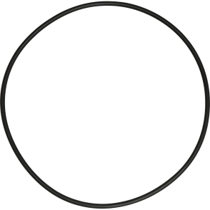 ORING CUERPO DE FS10 X 10 UNIDAD      