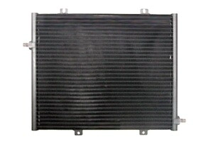 COND. RENAULT 19 TAXI 99"+ (S/BRID      