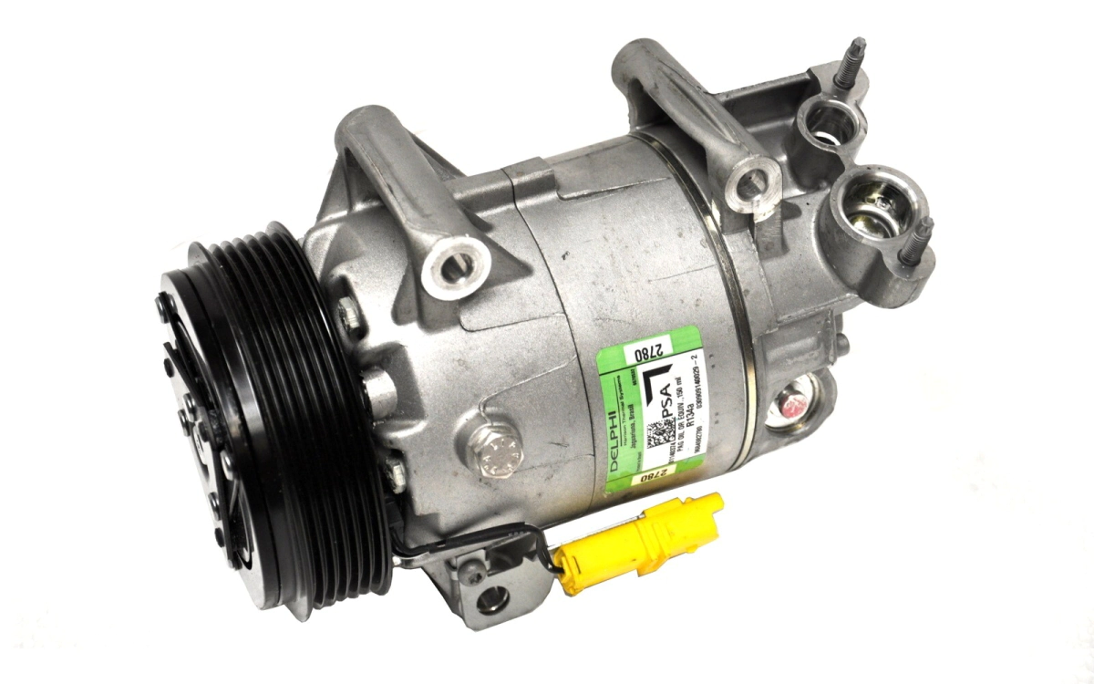 COMP. PEUG. 206/207/307/Part-CIT.C3/Ber,Delphi CVC      