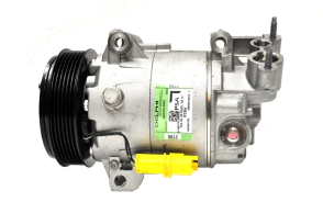 COMP. PEUG. 206/207/307/Part-CIT.C3/Ber,Delphi CVC