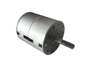 PISTONES (INTERIOR COMPLETO) FS10      