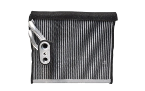 EVAP. JEEP COMPASS/PATRIOT 07/09      