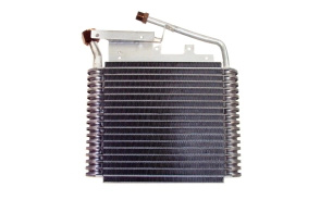 EVAP. FORD BRONCO / F-150 -81