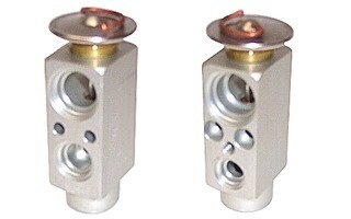 VALV. EXP. BLOCK REN. 19/PEUG. 405      